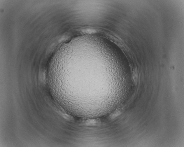 X0000076420330200610271714