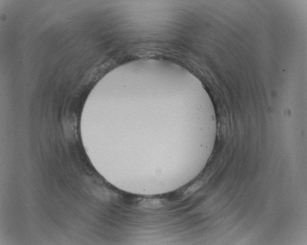 X0000076420332200610271714