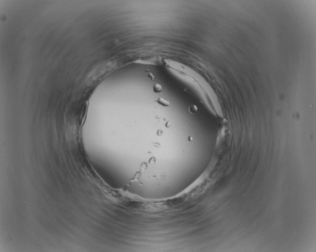 X0000076420333200610271714