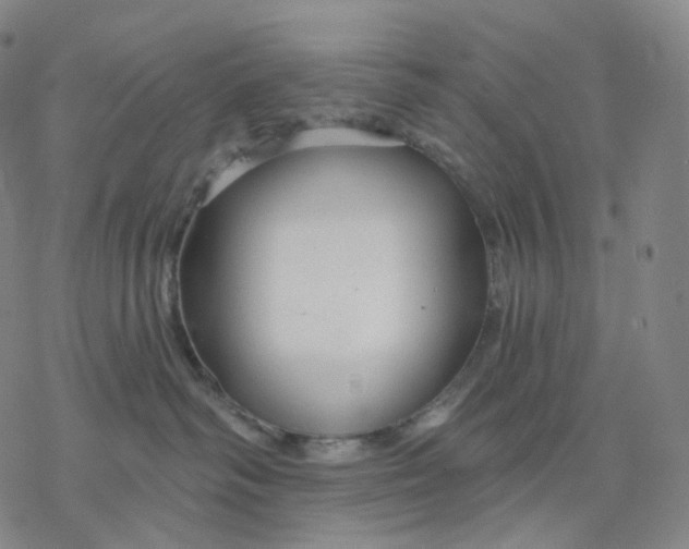 X0000076420334200610271714