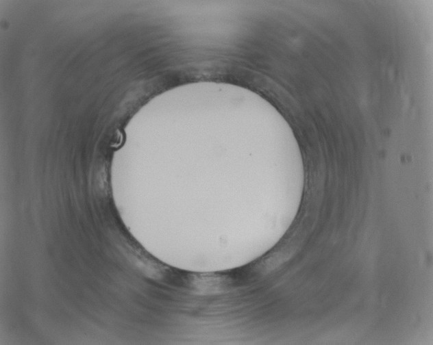 X0000076420336200610271714