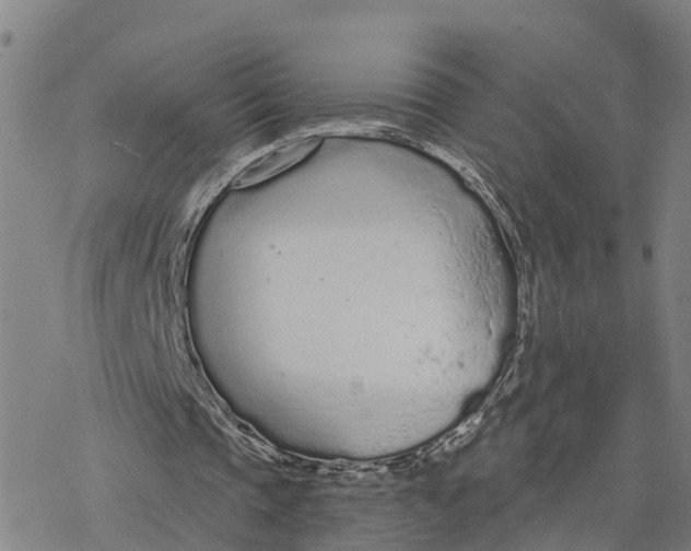 X0000076420337200610271713