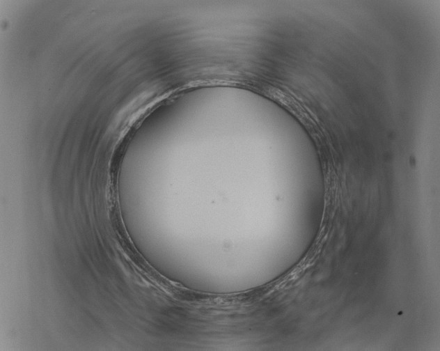 X0000076420338200610271713