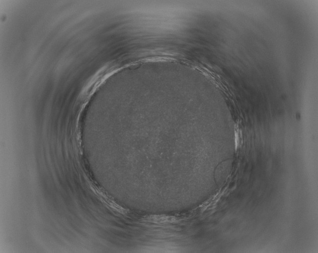 X0000076420339200610271713