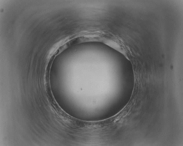 X0000076420340200610271713