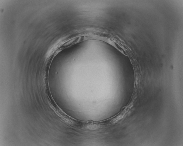 X0000076420341200610271713