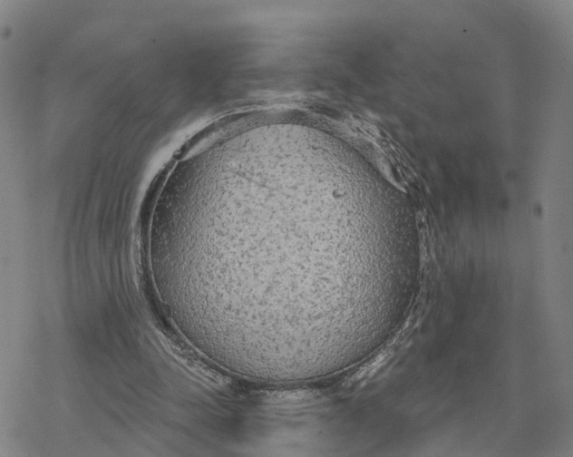 X0000076420342200610271713