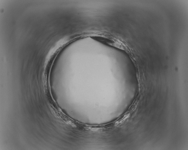 X0000076420343200610271713