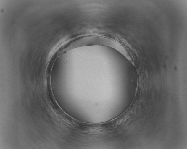 X0000076420344200610271713