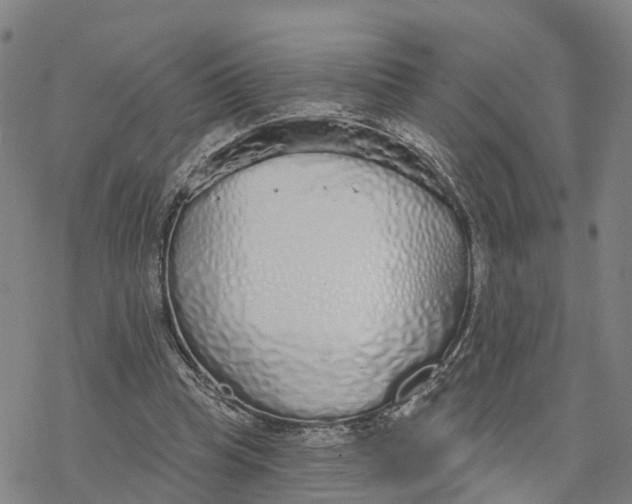 X0000076420345200610271713