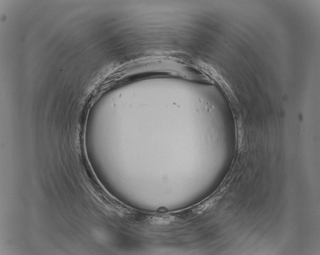 X0000076420346200610271714