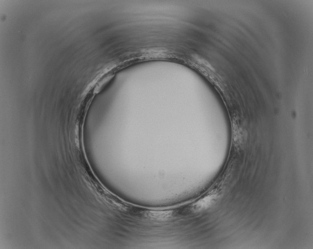 X0000076420347200610271714