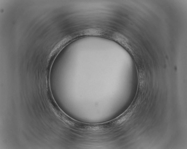 X0000076420349200610271714