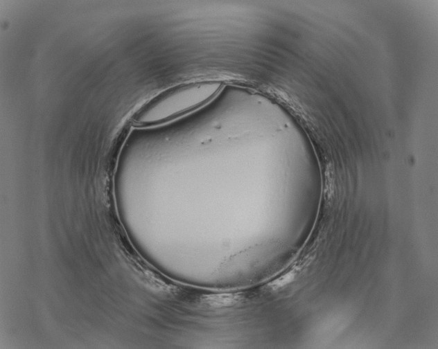 X0000076420351200610271714