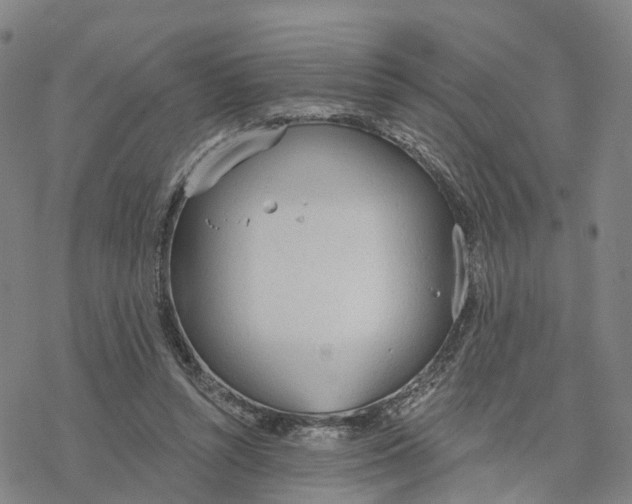 X0000076420352200610271714