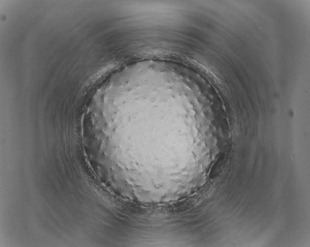 X0000076420353200610271714