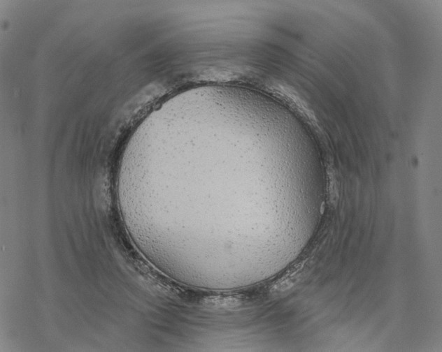 X0000076420354200610271714