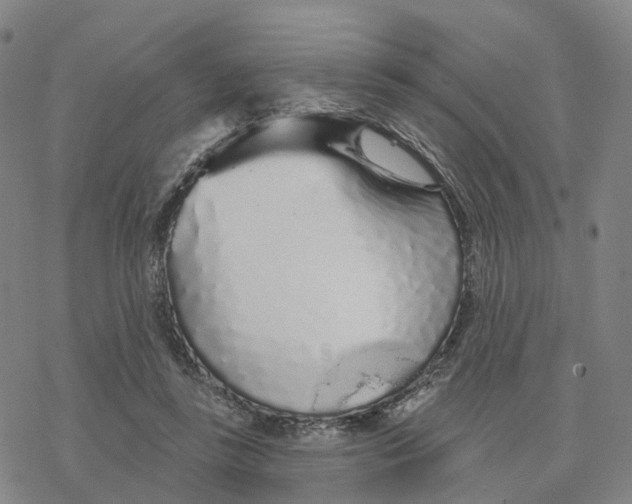 X0000076420355200610271714