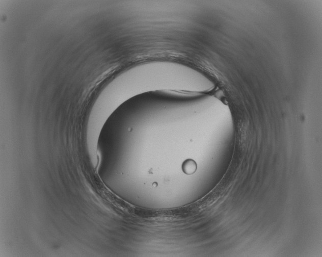 X0000076420356200610271714