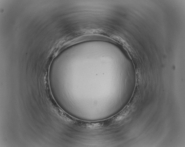 X0000076420357200610271714