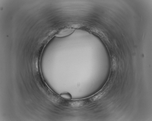 X0000076420358200610271714