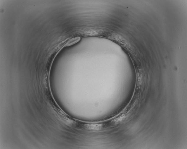 X0000076420359200610271714