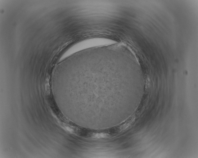 X0000076420360200610271714