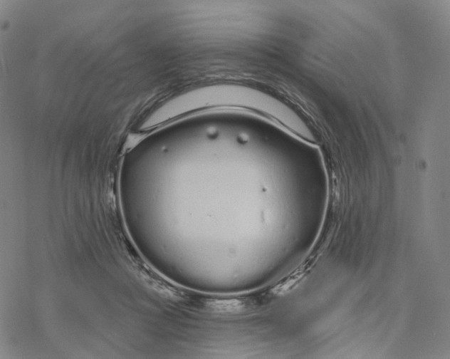 X0000076420361200610271714