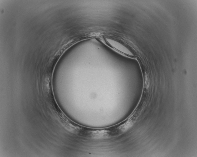 X0000076420363200610271714