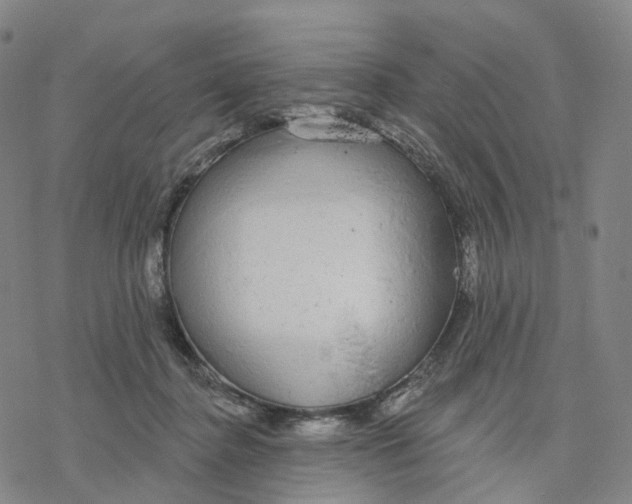 X0000076420364200610271714