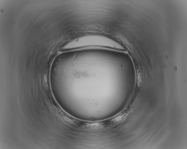 X0000076420365200610271714