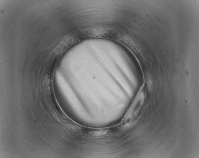 X0000076420366200610271714