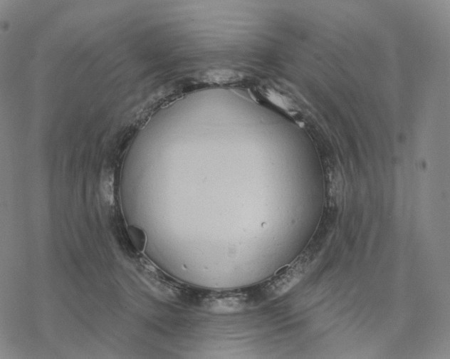 X0000076420368200610271714