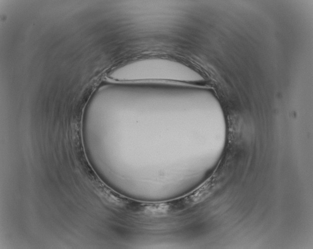 X0000076420369200610271714