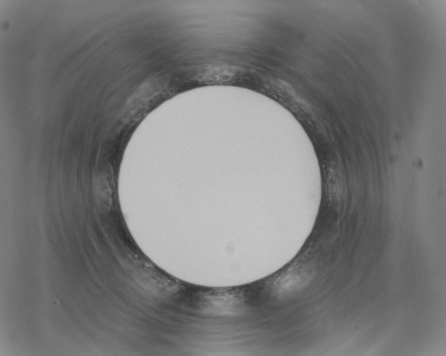 X0000076420370200610271714