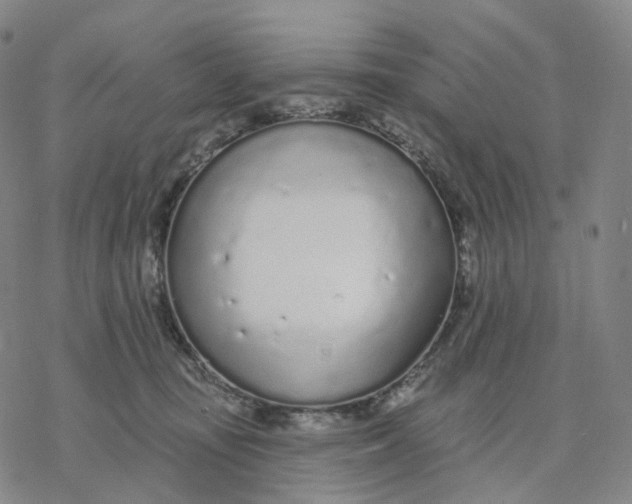 X0000076420371200610271714