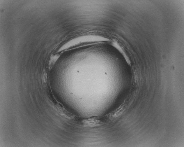 X0000076420372200610271714