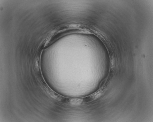 X0000076420373200610271714