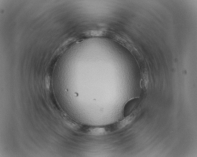 X0000076420374200610271714