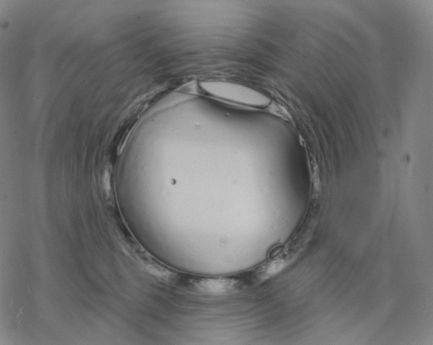 X0000076420375200610271714