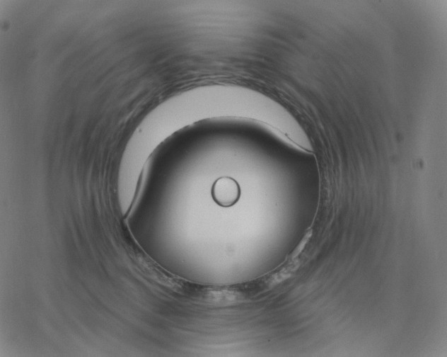 X0000076420376200610271714