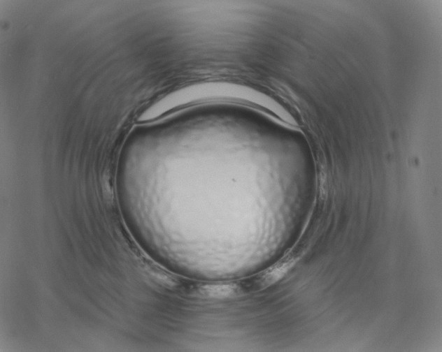 X0000076420377200610271714