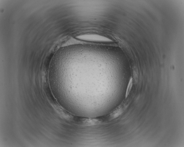 X0000076420379200610271714