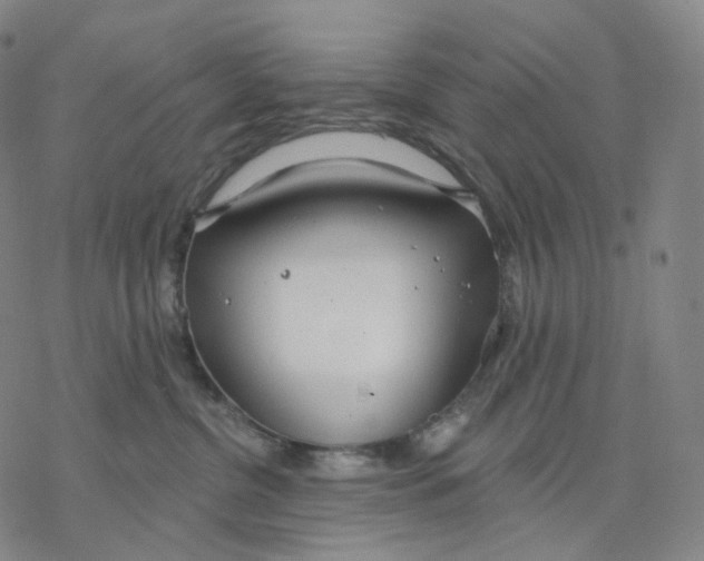 X0000076420380200610271714