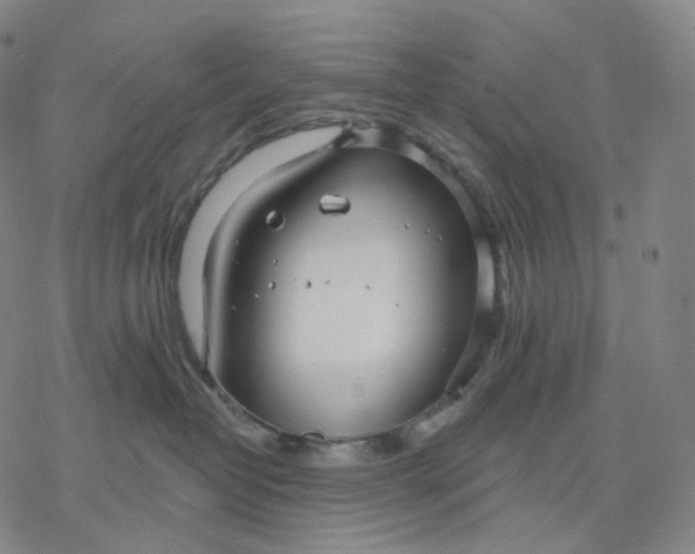 X0000076420382200610271714