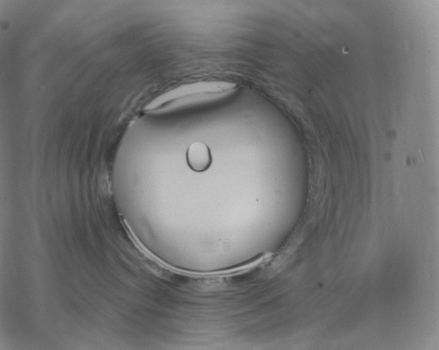 X0000076420384200610271714