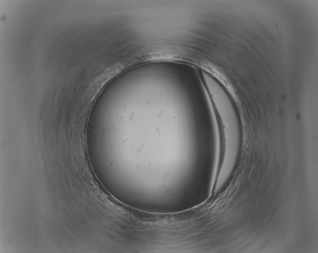 X0000076420385200610271713