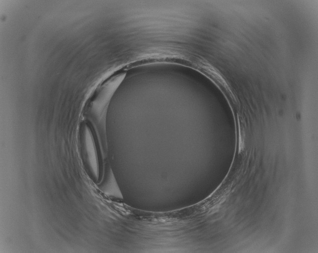 X0000076420387200610271713