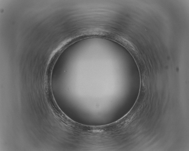 X0000076420388200610271713