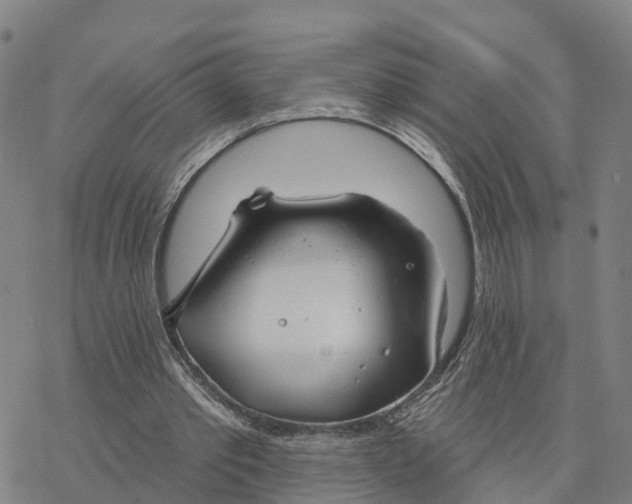 X0000076420389200610271713